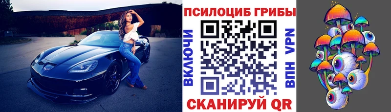 цена наркотик  Мезень  Псилоцибиновые грибы Psilocybine cubensis 